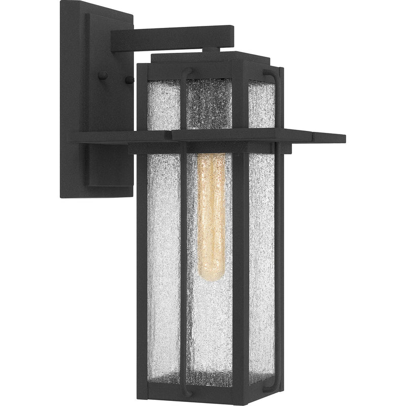 Randall Outdoor Wall Lantern in Mottled Black