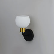 Coraline 1 Light Wall Sconce in Bronze / Satin Brass