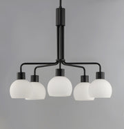 Coraline 5 Light Chandelier in Black