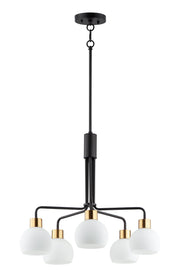Coraline 5 Light Chandelier in Bronze / Satin Brass