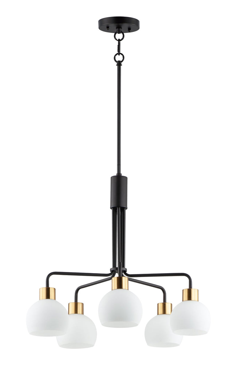 Coraline 5 Light Chandelier in Bronze / Satin Brass