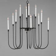 Tux 12 Light Chandelier in Black