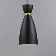 Carillon 1 Light Elongated Mini Pendant in Black / Satin Brass