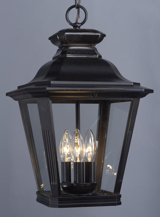 Knoxville 3 Light Outdoor Hanging Lantern in Bronze