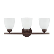 Jameson 3-Light Bath Vanity Light in Bronze