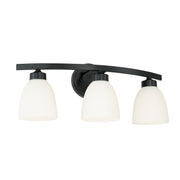 Jameson 3-Light Bath Vanity Light in Matte Black