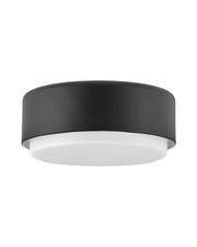 Cedric 2-Light 12" Flush Mount in Black