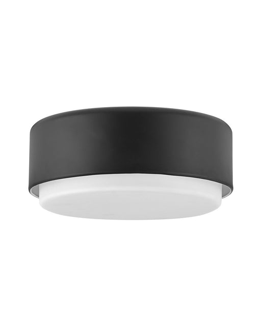 Cedric 2-Light 12" Flush Mount in Black