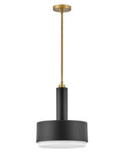 Cedric 2-Light Pendant in Black