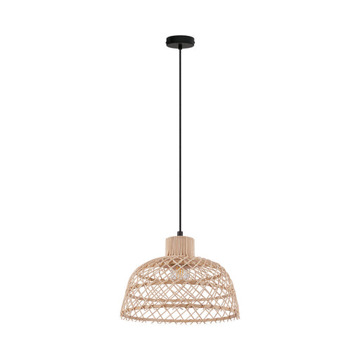 Ausnby One Light Pendant in Black