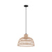 Ausnby One Light Pendant in Black