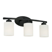 Dixon 3-Light Bath Vanity Light in Matte Black