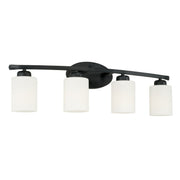 Dixon 4-Light Bath Vanity Light in Matte Black