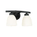 Jameson 2-Light Vanity in Matte Black - Lamps Expo