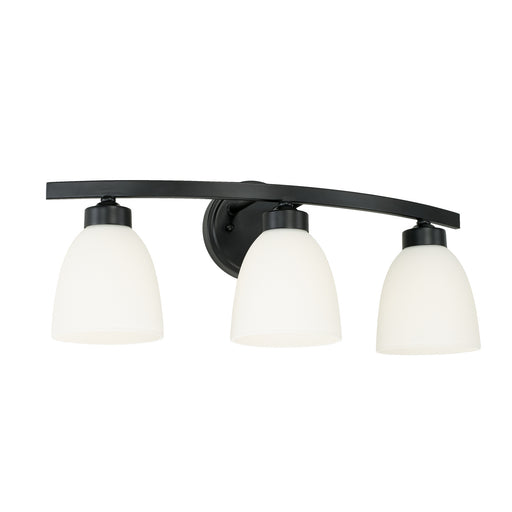 Jameson 3-Light Vanity in Matte Black - Lamps Expo