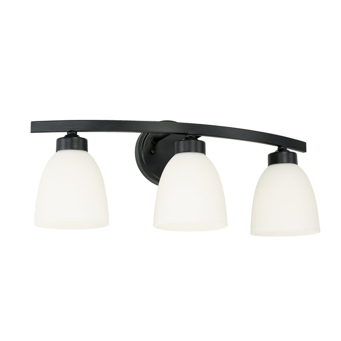 Jameson 3-Light Vanity in Matte Black - Lamps Expo