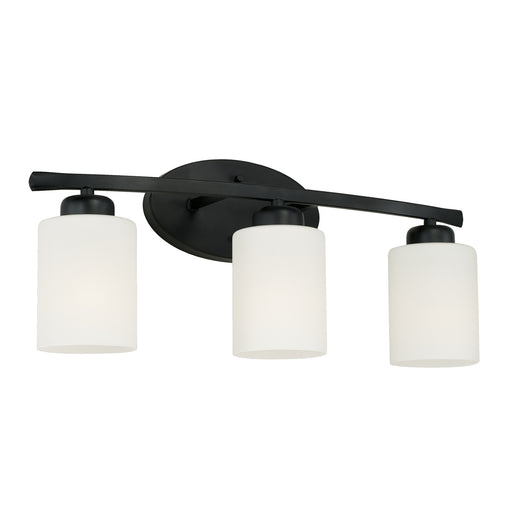 Dixon 3-Light Vanity in Matte Black - Lamps Expo