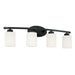 Dixon 4-Light Vanity in Matte Black - Lamps Expo