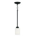 Dixon 1-Light Pendant in Matte Black - Lamps Expo