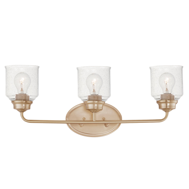12263CDHR - Acadia 3-Light Bath Vanity by Maxim
