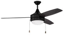 Fans - Ceiling Fans
