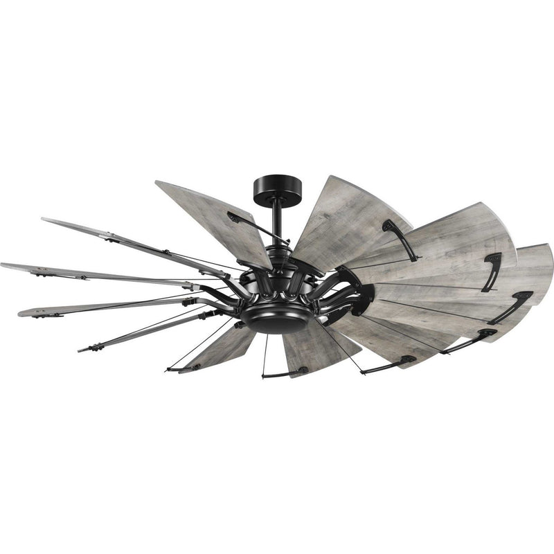 Springer 60" Ceiling Fan in Matte Black