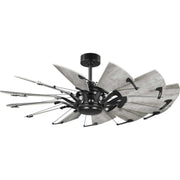 Springer 52" Ceiling Fan in Matte Black