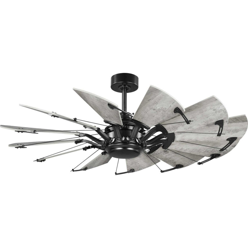 Springer 52" Ceiling Fan in Matte Black