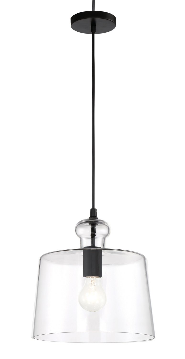 Clarity Dome Mini Pendant in Coal