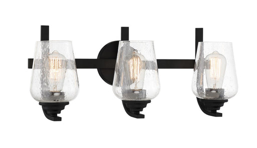 Shyloh 3-Light Bath Vanity Light in Coal