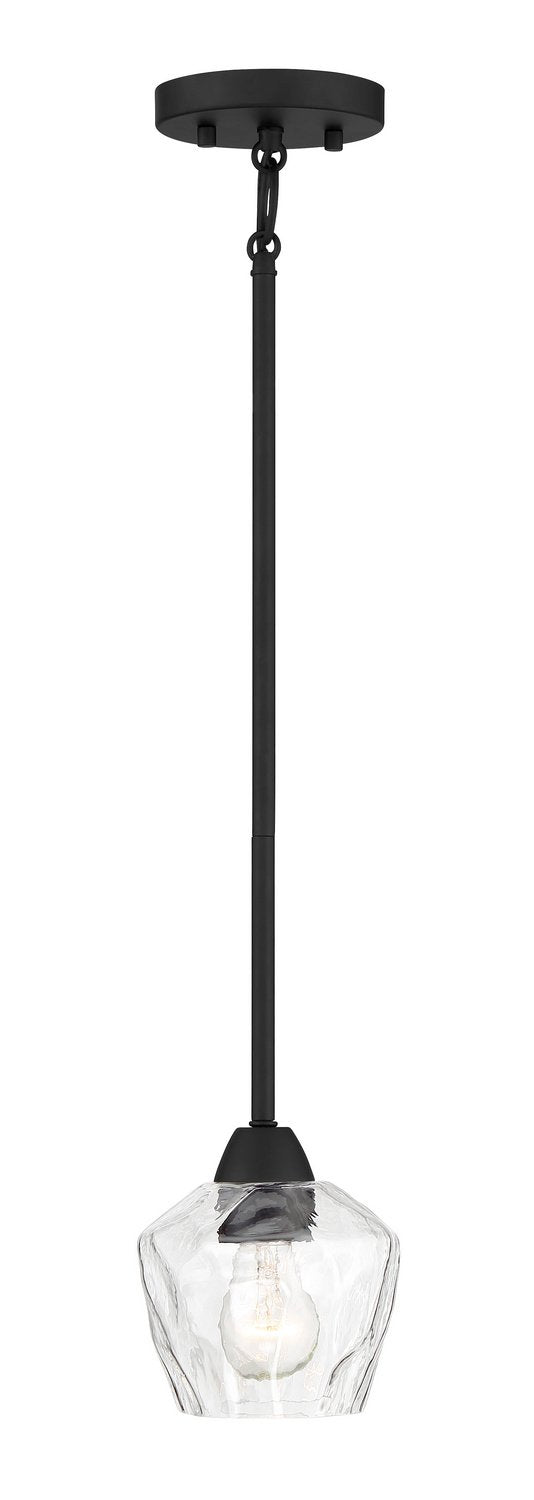 Camrin Convertible Pendant in Coal
