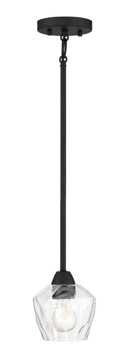 Camrin Convertible Pendant in Coal