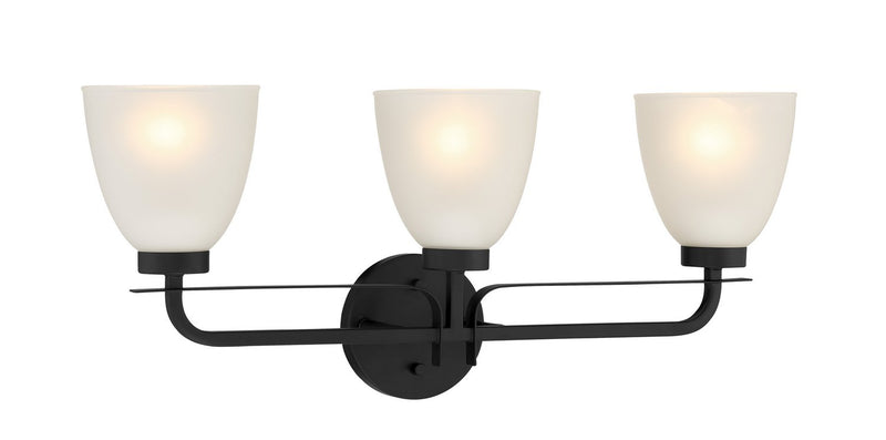 Kaitlen 3-Light Bath Vanity Light in Coal