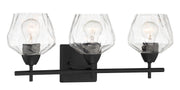 Camrin 3-Light Bath Vanity Light in Coal