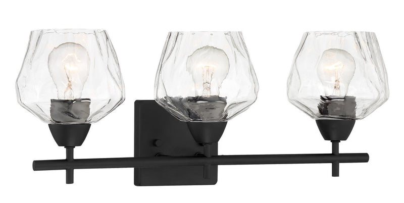 Camrin 3-Light Bath Vanity Light in Coal