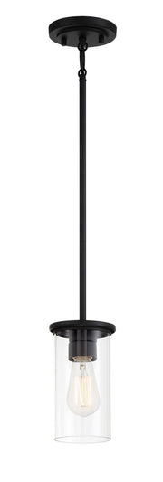 Haisley Convertible Pendant in Coal