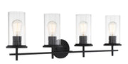 Haisley 4-Light Bath Vanity Light in Coal