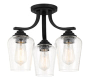 Shyloh 3-Light Convertible Chandelier in Coal