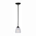 Stefan One Light Mini Pendant in Black