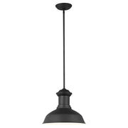 Fredricksburg Outdoor Pendant in Black