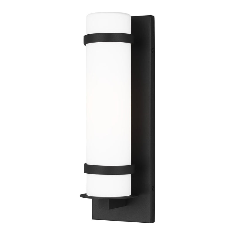 Alban Small Outdoor Wall Lantern 8518301 in Black