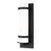 Alban One Light Outdoor Wall Lantern in Black