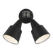 Flood Light Two Light Flood with Photo and Motion Sensor in Black