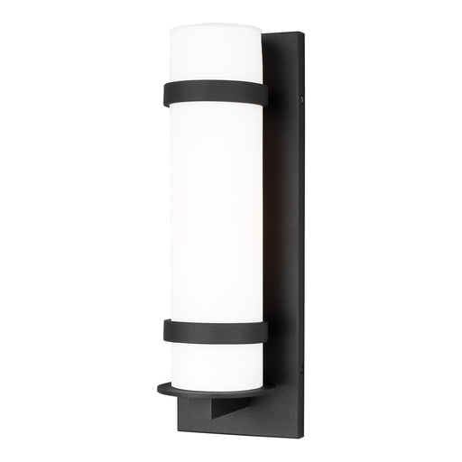 Alban Medium Outdoor Wall Lantern 8618301 in Black