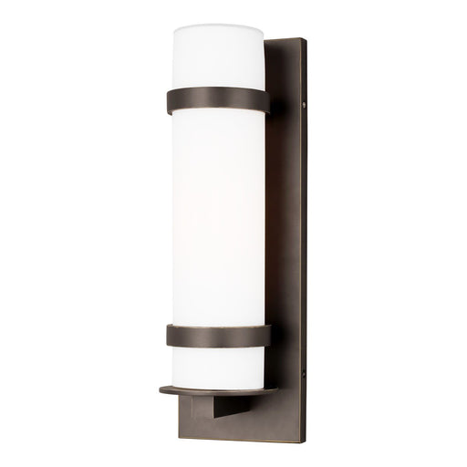 Alban Medium Outdoor Wall Lantern 8618301 in Antique Bronze