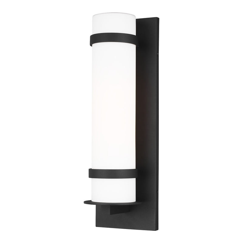 Alban Large Outdoor Wall Lantern 8718301 in Black