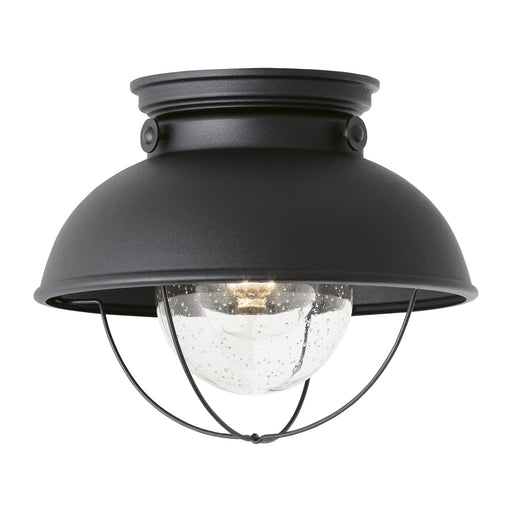 Sebring One Light Outdoor Flush Mount in Black