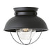 Sebring One Light Outdoor Flush Mount in Black