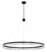 N7996-572-L - Grande Illusion LED Pendant in Coal with Polished Nickel Highlights by Metropolitan