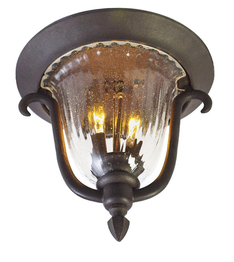 Santa Barbara 2-Light Outdoor Flush Mount in Textured Matte Black